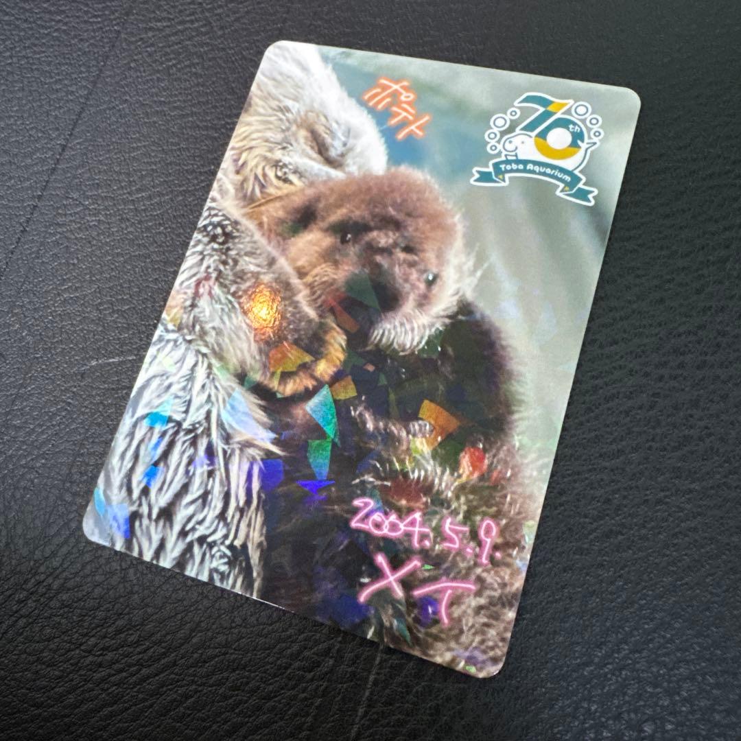 最安値‼️ 鳥羽水族館　コレクションカード　70周年記念　ラッコ　メイ　レア