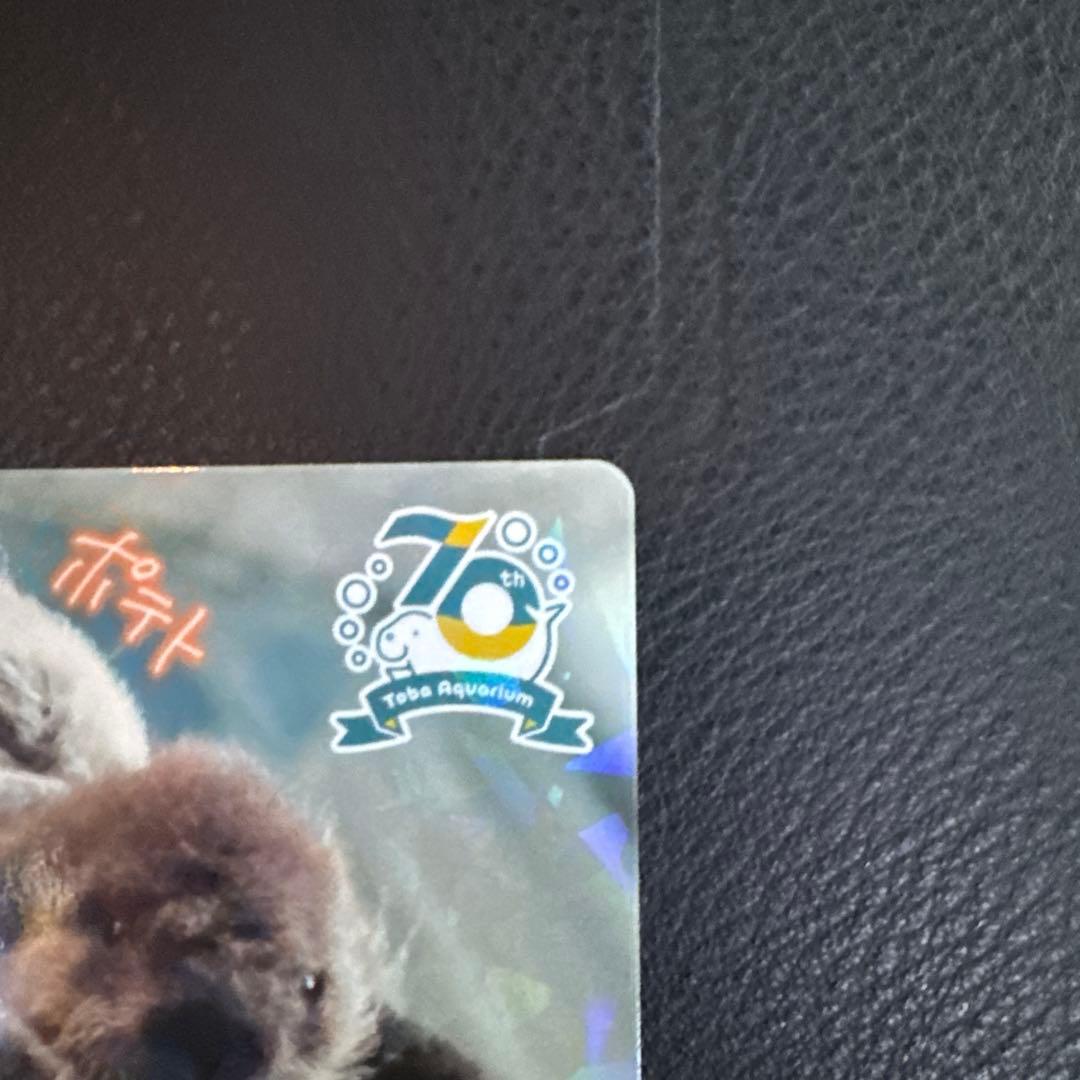 最安値‼️ 鳥羽水族館　コレクションカード　70周年記念　ラッコ　メイ　レア