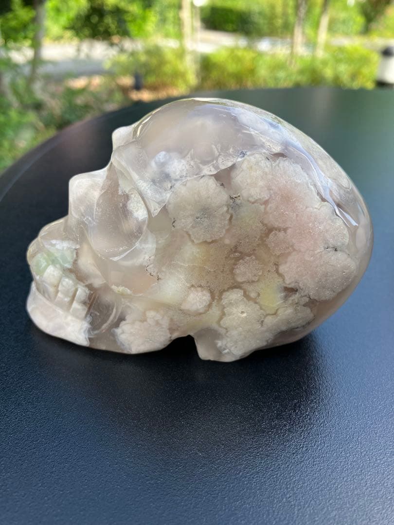 チェリーブロッサム　アゲート　スカル　モチーフ