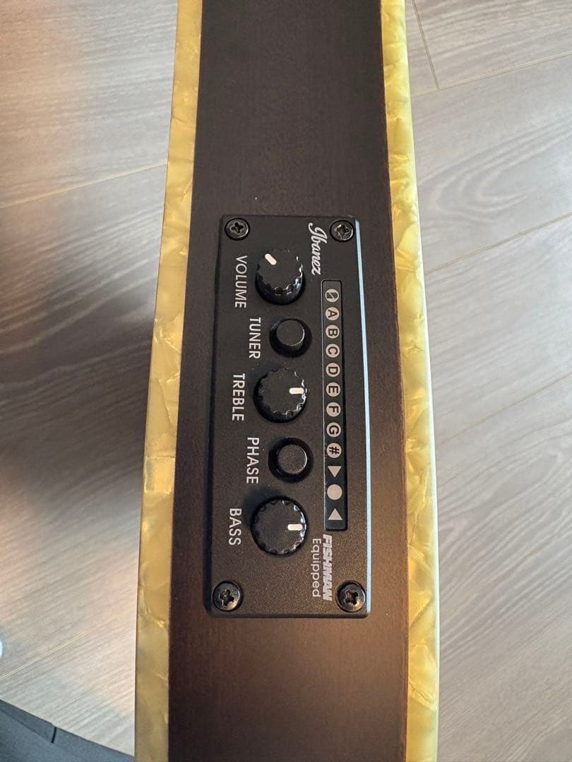 ギター IBANEZ TOD10N-TKF Tim Henson Signature