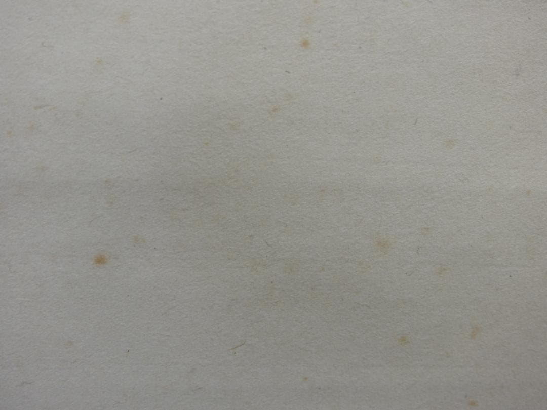 東大寺公海　二行書　保存箱　MA838