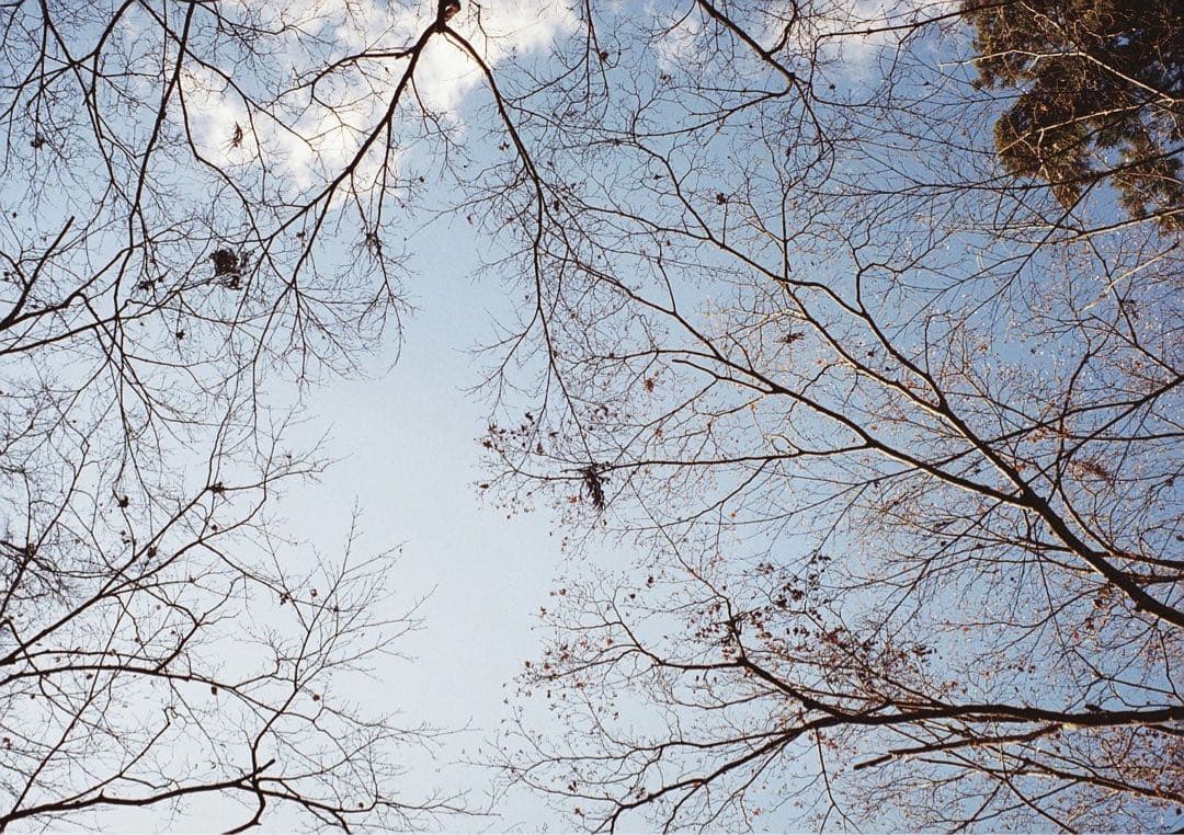 Summicron 35mm F2 7枚玉　OH済み　ドイツ製