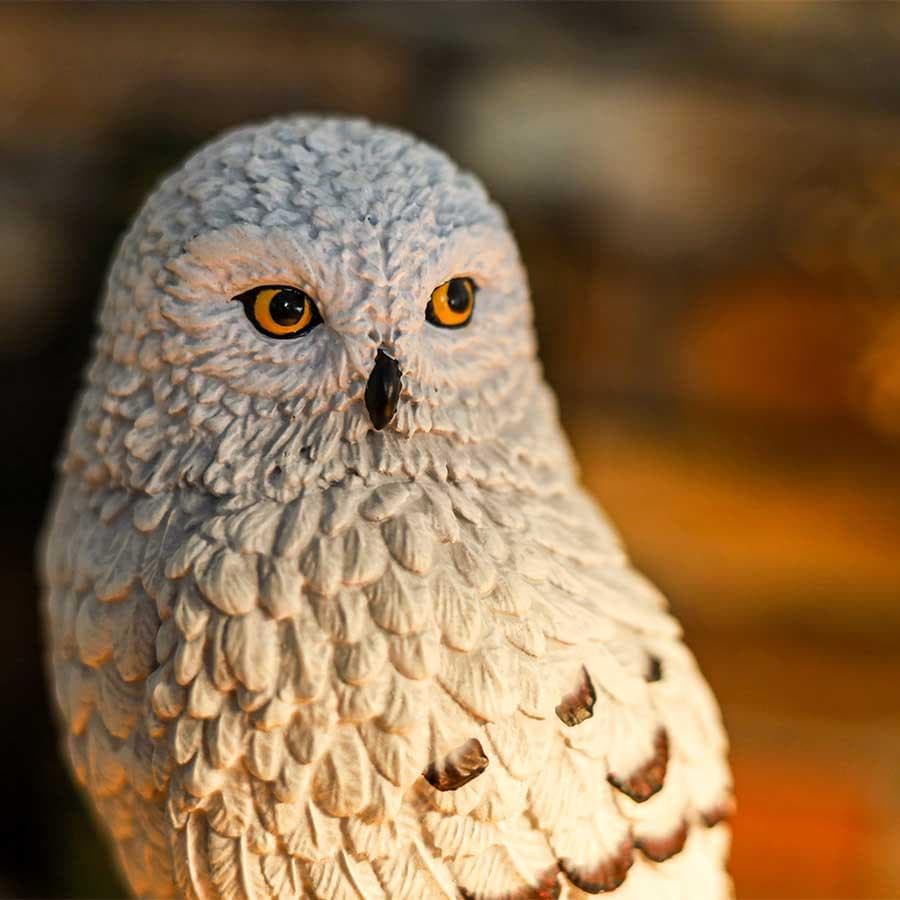 【新品】ヘドウィグ オルゴール Hogwarts Night