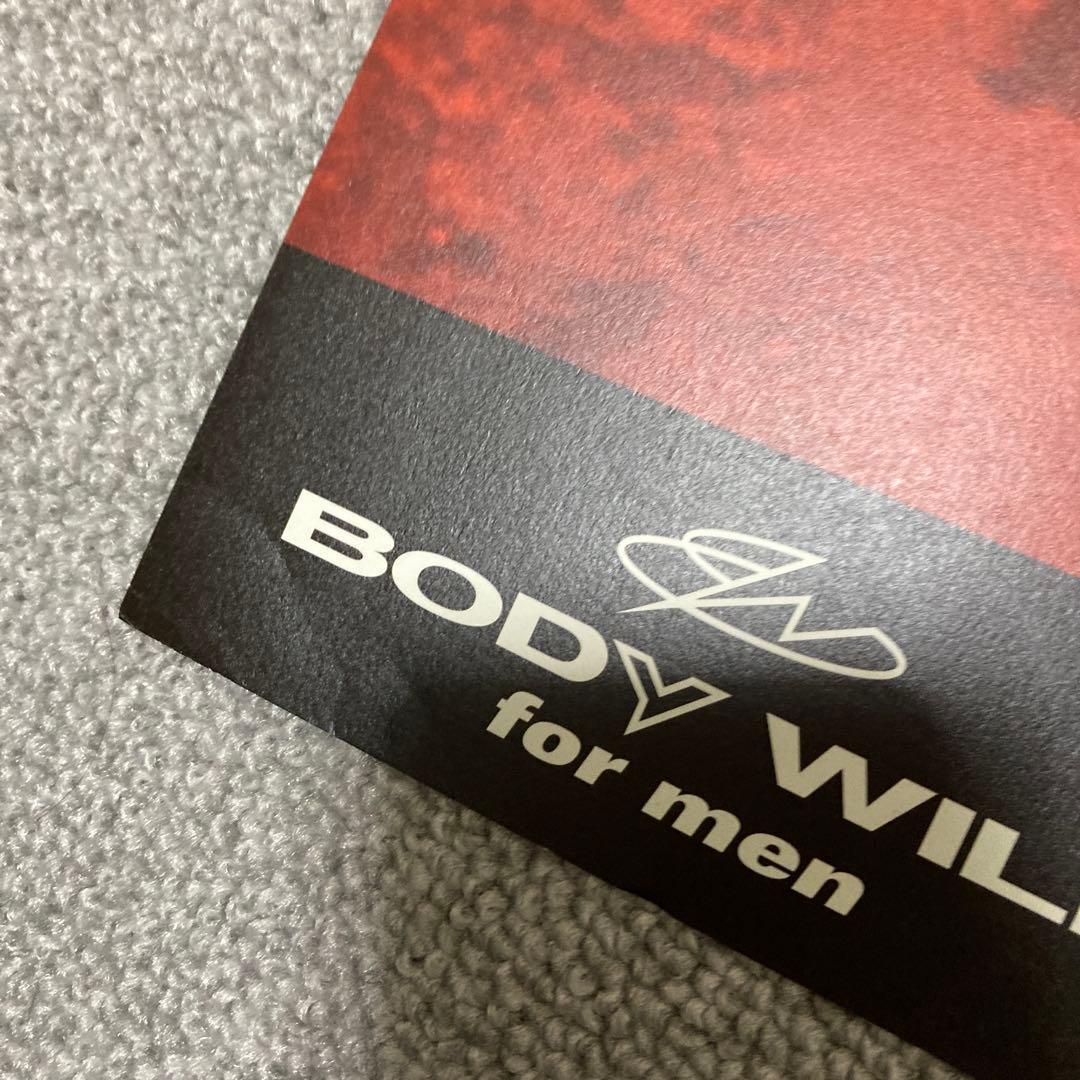 井川遥　BODY WILD FIT BOXER ポスター　美品　グンゼ　３