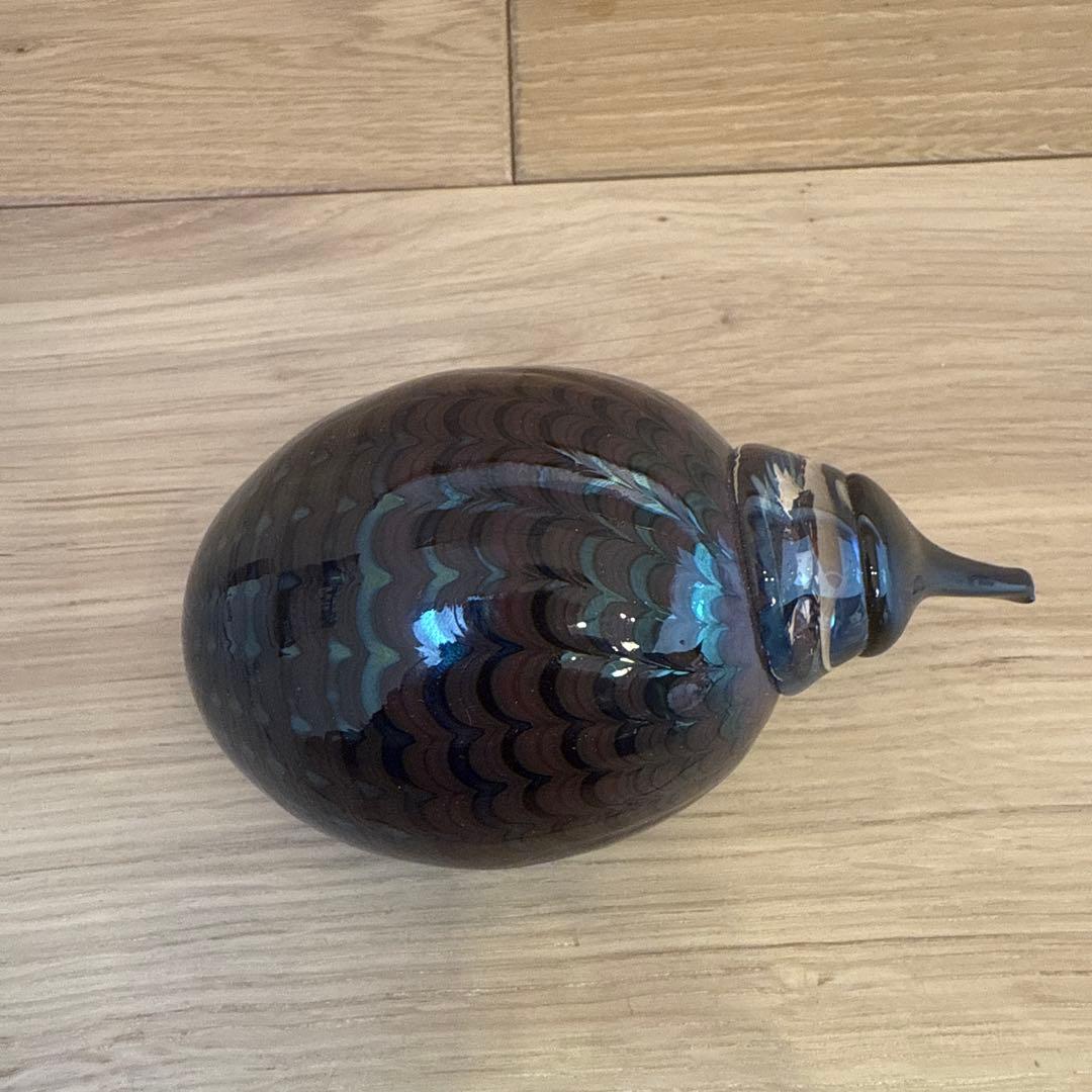 　バード　little kiwi