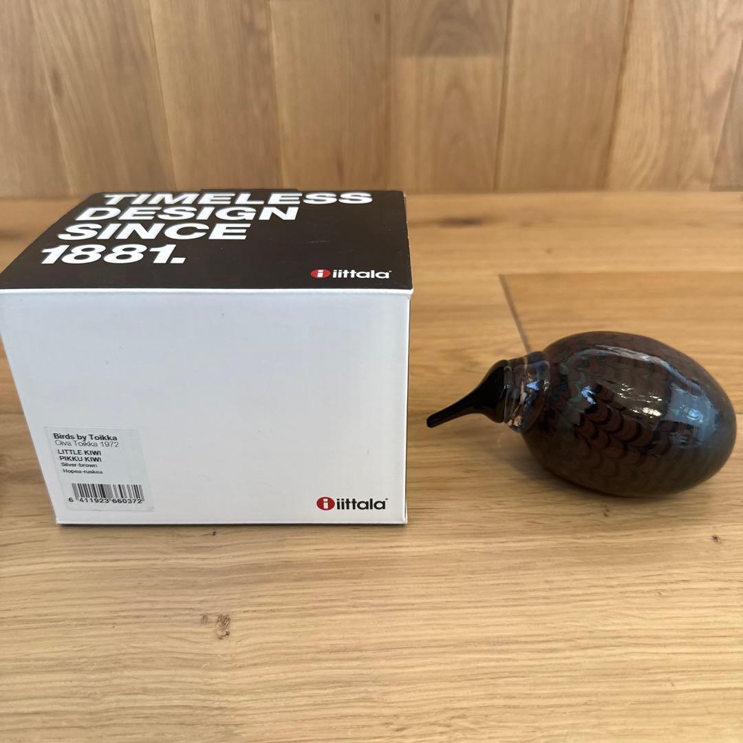 　バード　little kiwi