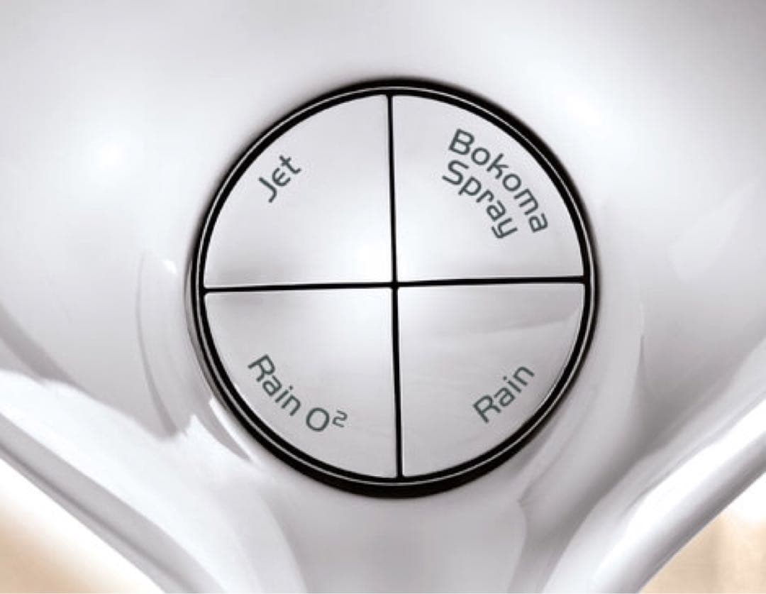 ⭕️独グローエ　シャワーヘッド　Bokoma Spray 13㎝