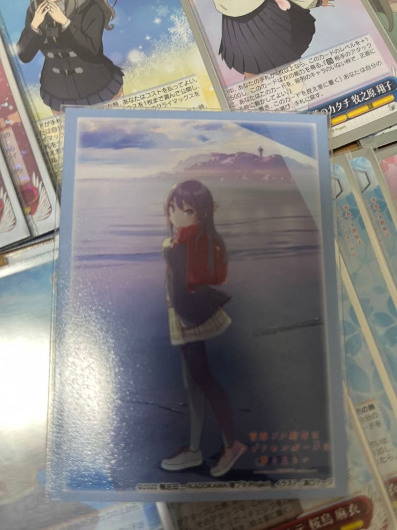 早い者勝ち‼️ 青ブタ　デッキ