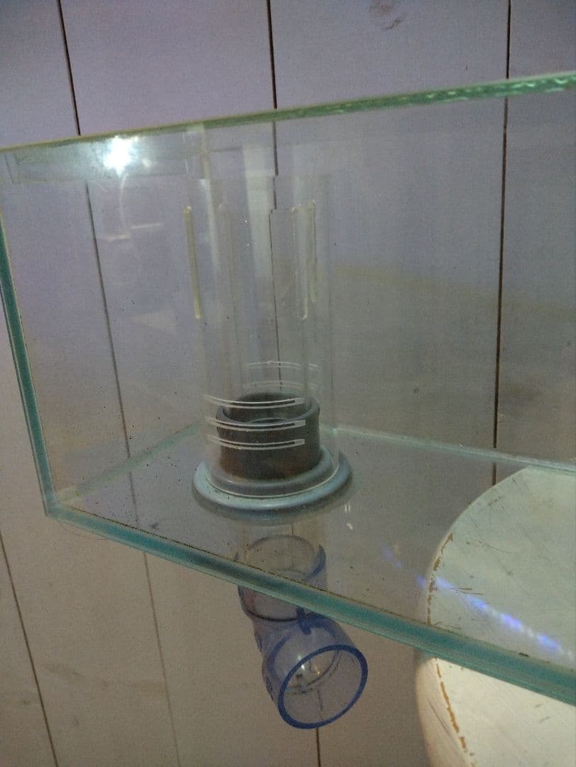 【今週限定値下げ】60センチオーバーフローガラス水槽 とエーハイム2213