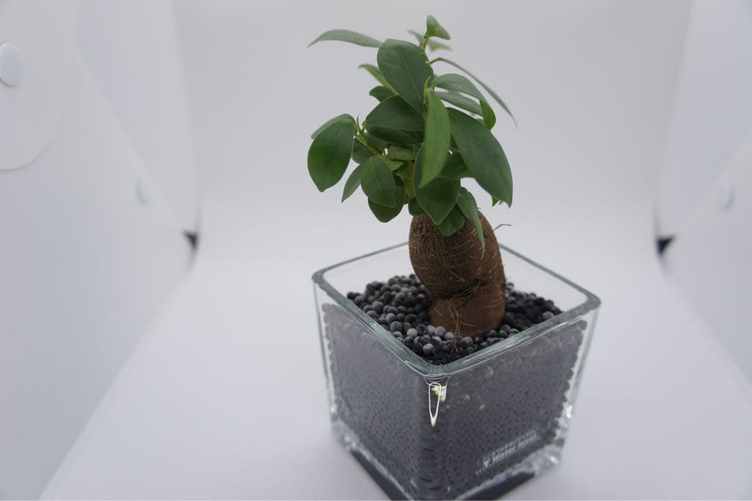 Sony NEX5 レンズは18-55 付属品あり