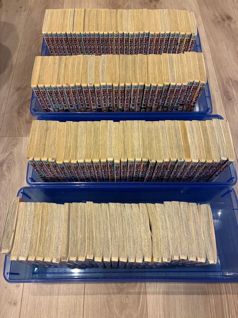 ワンピース　全巻セット（1-113巻）　ケース付き