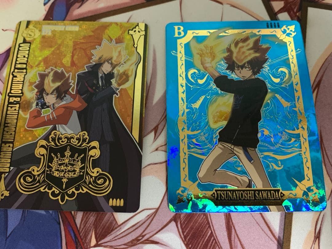 家庭教師ヒットマンREBORN！サザンクロスバトル　沢田綱吉　ボンゴレの血