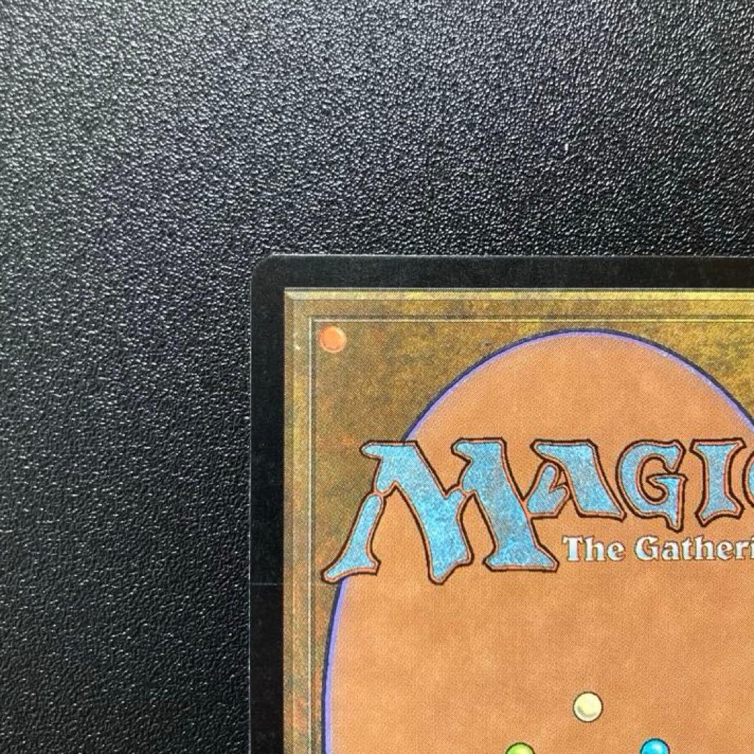 MTG タールルームの勇士、ターンガース 絵違い foil