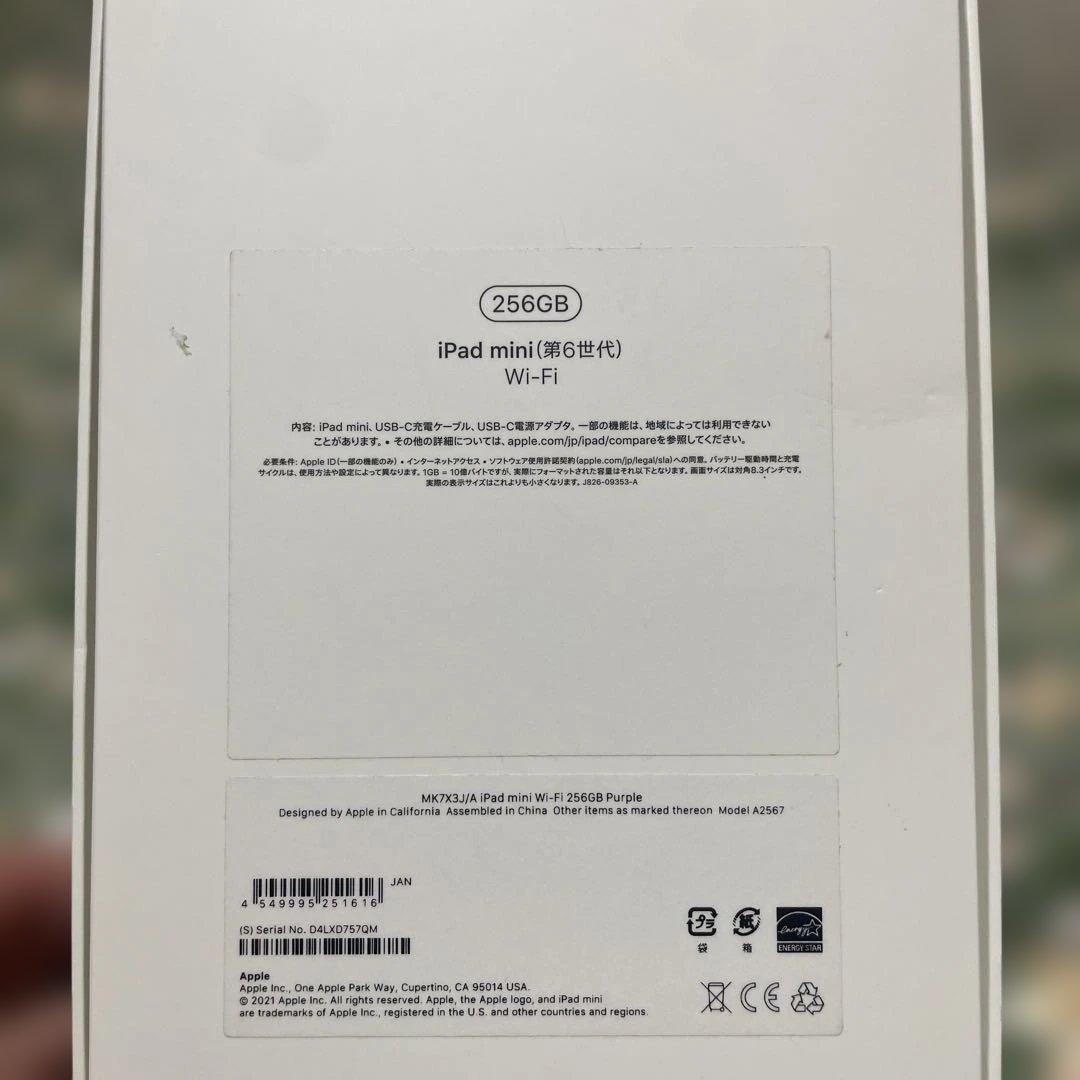 i pad mini6 wifi 256GB