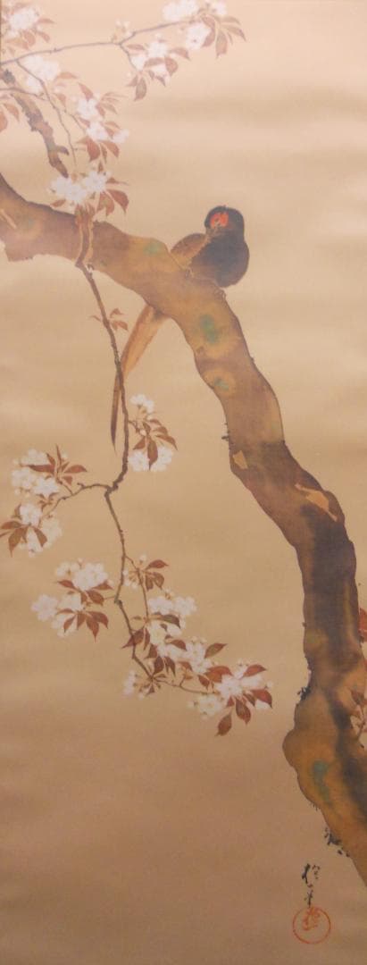 掛け軸 酒井抱一 『 桜花雉子図 』 絹本 名品 複製 希少 茶道具 掛軸 美品