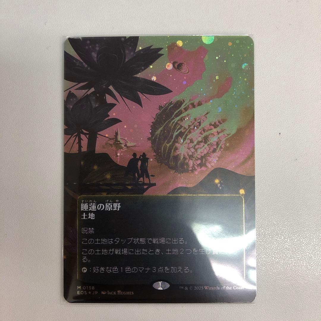 睡蓮の原野/Lotus Field No.158 ギャラクシーfoil