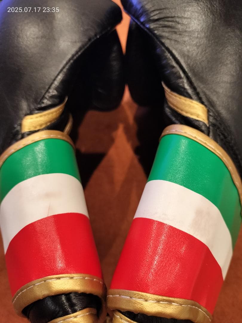 LEONE ボクシンググローブ 14oz 黒