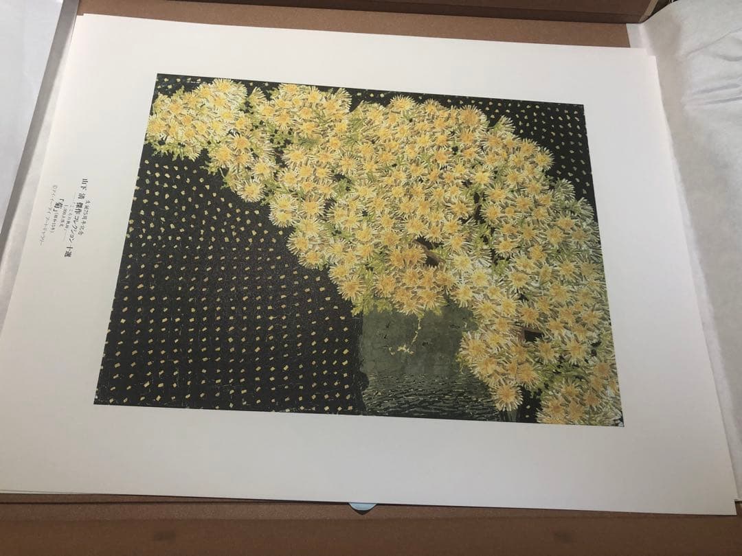山下清　傑作コレクション十選　こころの軌跡　高級複製画集　1000個限定品　絵画