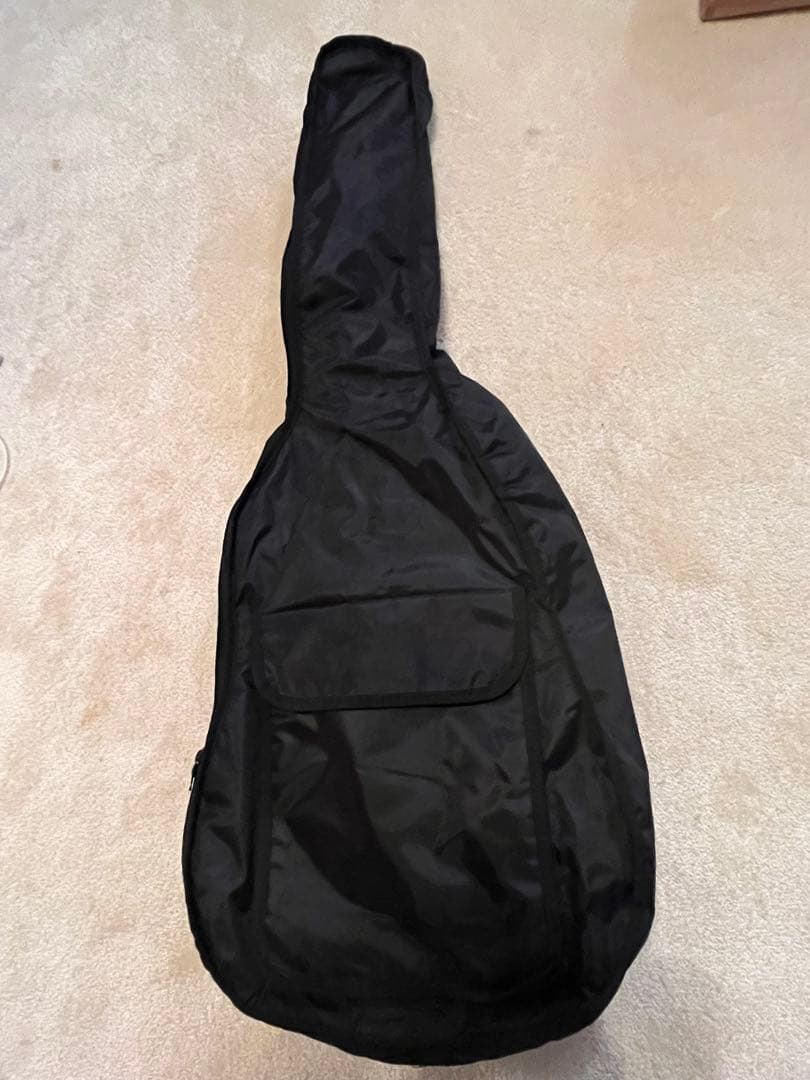 Washburn RX10 レッド SSH エレキギター ケース付