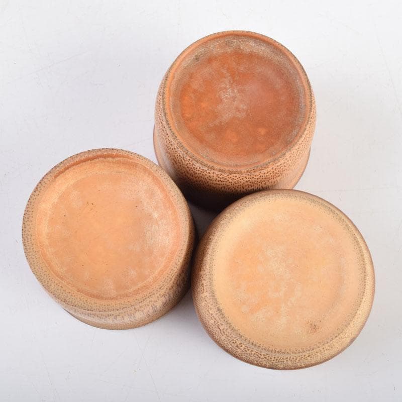 和食器　古竹製　盃　九客　C　8723