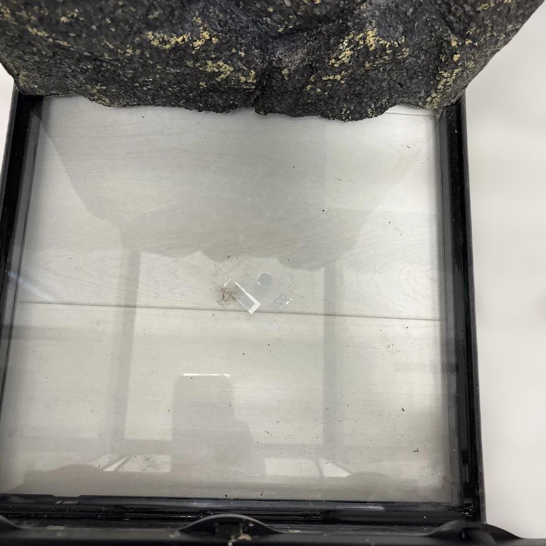 爬虫類ケージ GEX エキゾテラ グラステラリウム 3045 中型ケージ