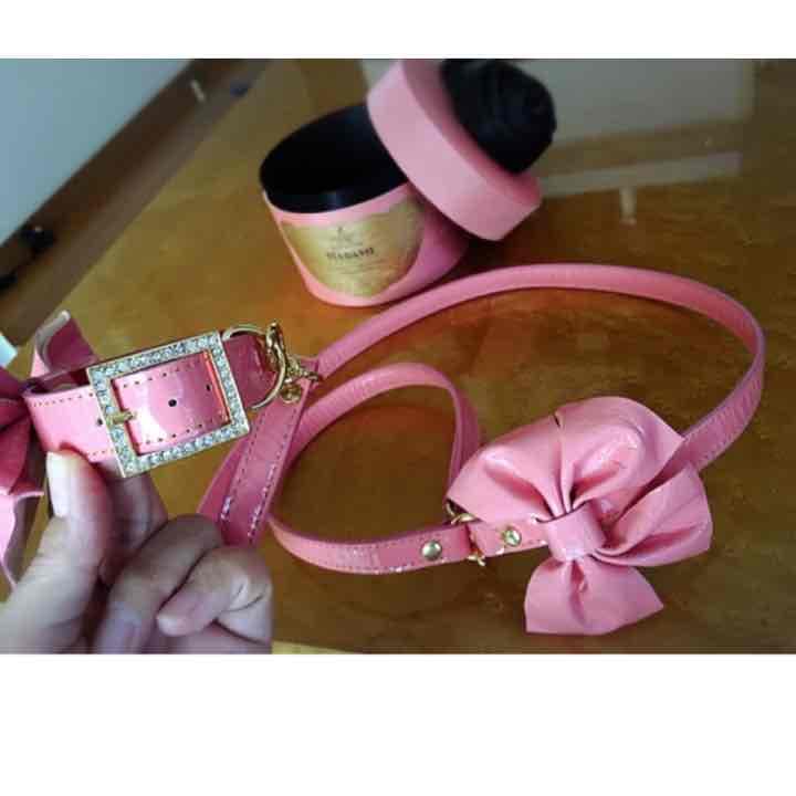 voyaju FOR lala 犬 首輪 リード ギフトBOX付き セレブ犬