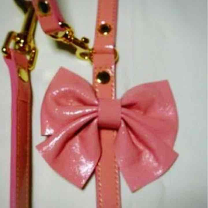 voyaju FOR lala 犬 首輪 リード ギフトBOX付き セレブ犬