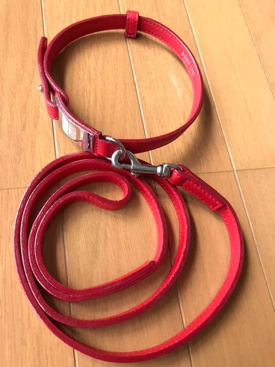 大型犬用カラー&リード