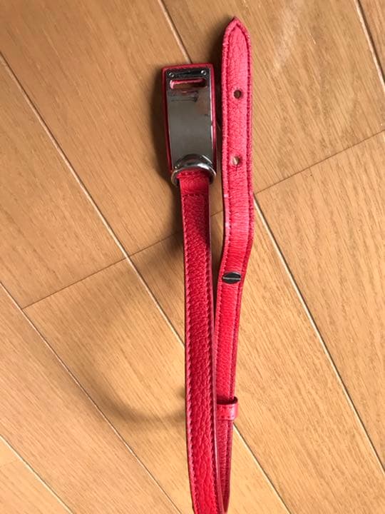 大型犬用カラー&リード