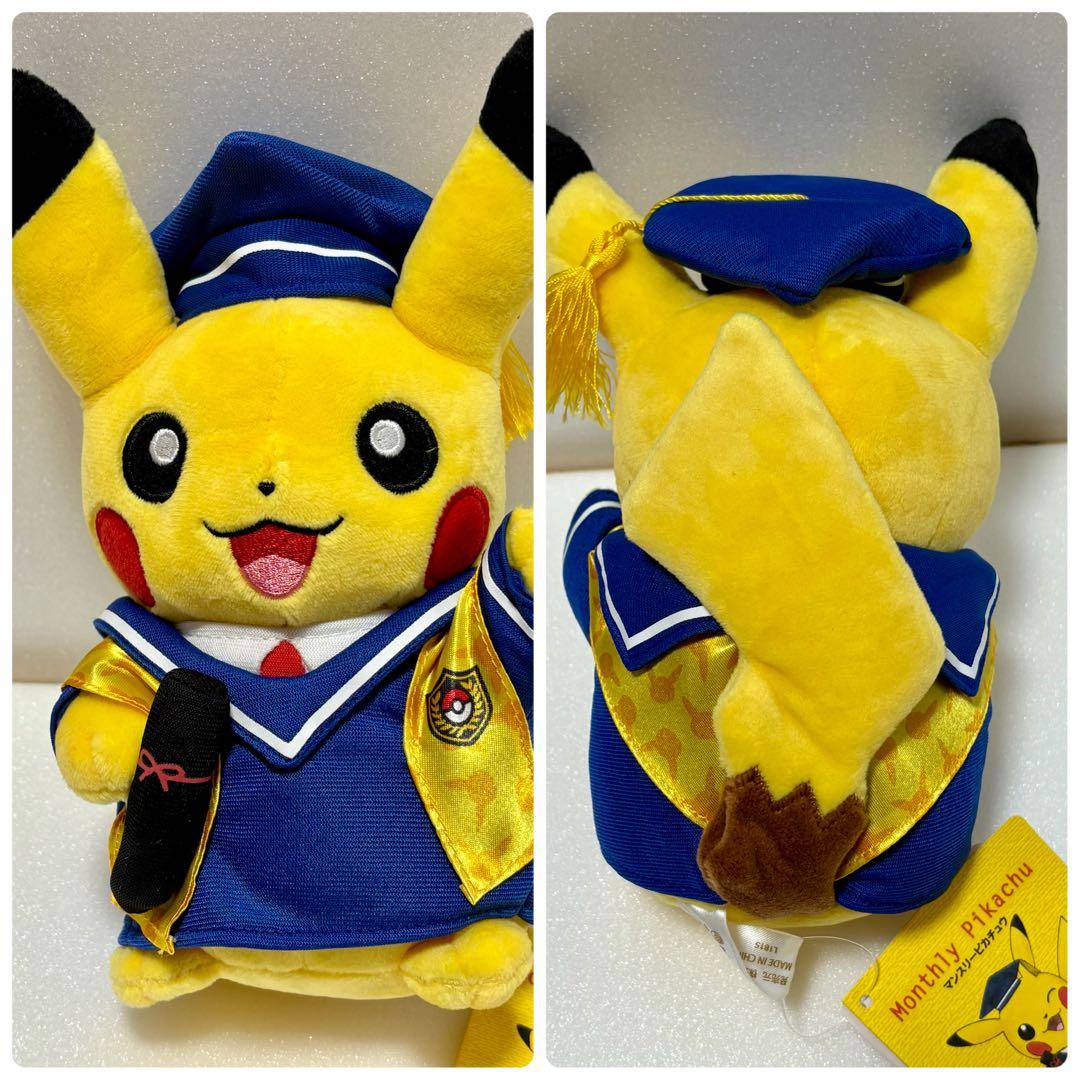 マンスリーピカチュウ　12ヶ月分コンプリートセット　全てタグ付き