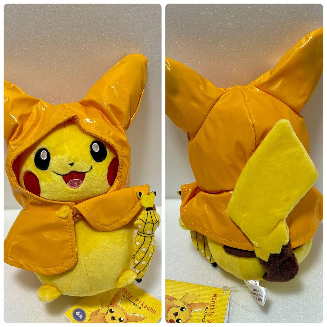 マンスリーピカチュウ　12ヶ月分コンプリートセット　全てタグ付き