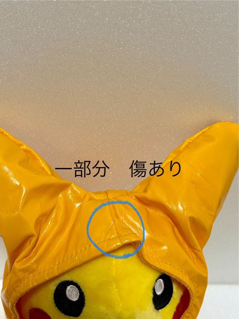 マンスリーピカチュウ　12ヶ月分コンプリートセット　全てタグ付き