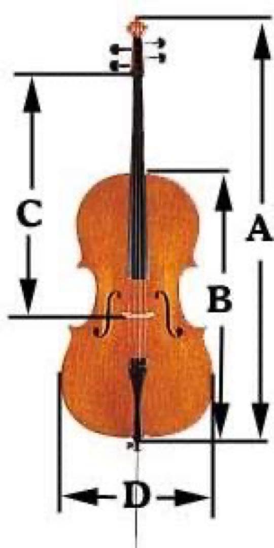 チェロ 1/2 -3/4 サイズ 子供 スズキ指導曲集付