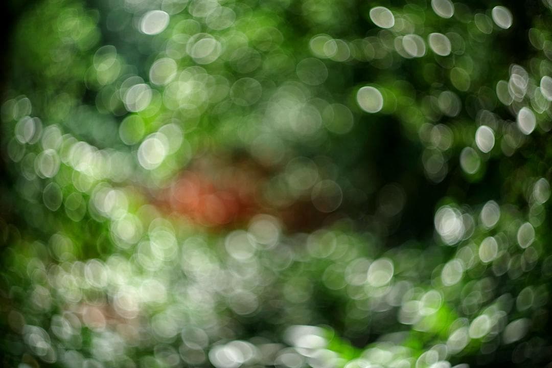 18　分解洗浄済　初期型　Helios44 　新品同様　ヘリオス　ぐるぐるボケ