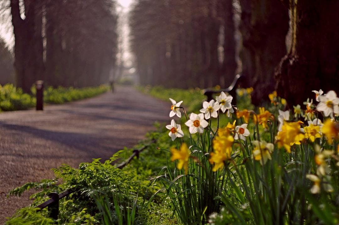 18　分解洗浄済　初期型　Helios44 　新品同様　ヘリオス　ぐるぐるボケ