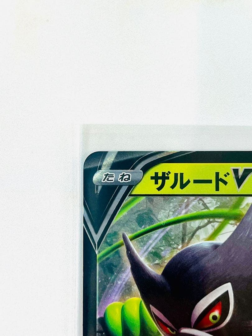【激レア】ポケモンカード　ザルードV ガリガリ君　PSA10 プロモ　当選通知書