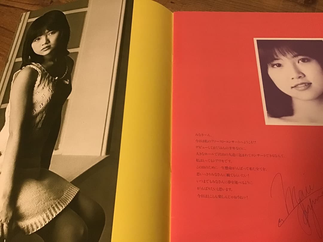 ★ツアーパンフレット/飯島真理/ファーストコンサート/1984年/半券チケット