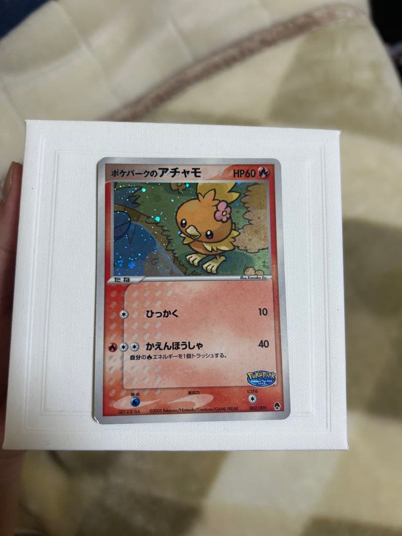 ポケパークのアチャモ