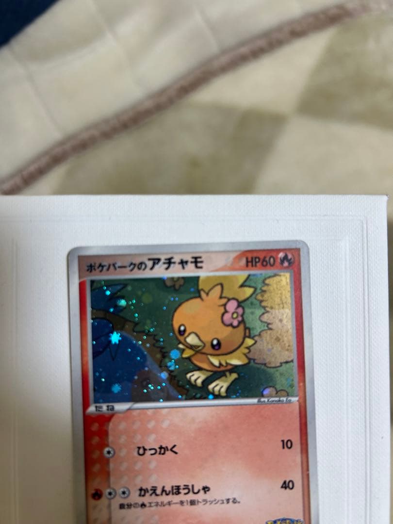 ポケパークのアチャモ