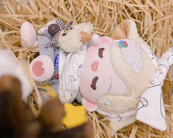 C9 博君一肖 bjyx 肖战 肖戦 王一博 ぬいぐるみ 20cm