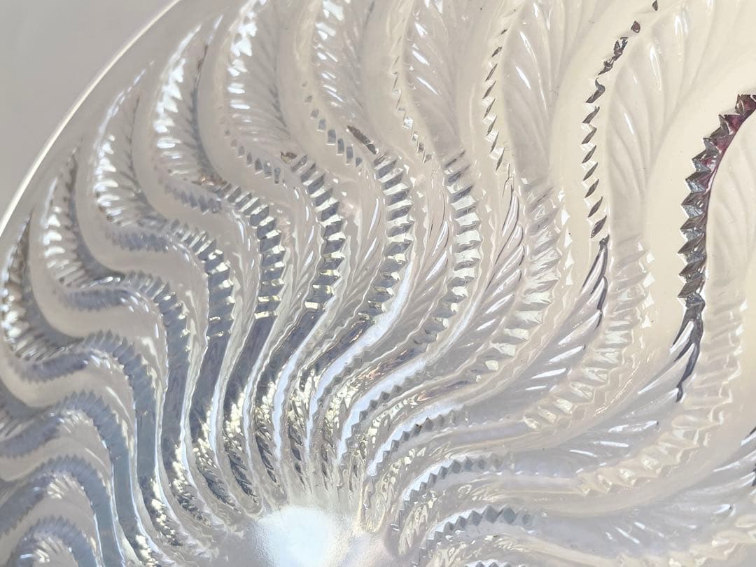 R.LALIQUEルネラリックActiniaイソギンチャク　浅鉢　大皿　プレート