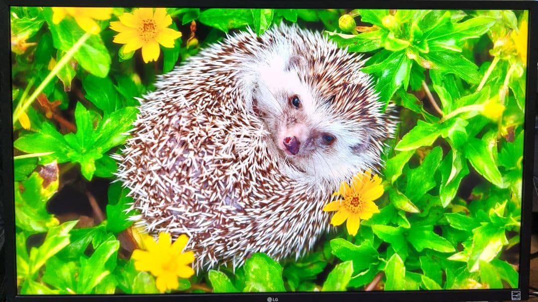 【完動品】 LG 32UK550‑B 32型 4K 大画面モニター　送料無料