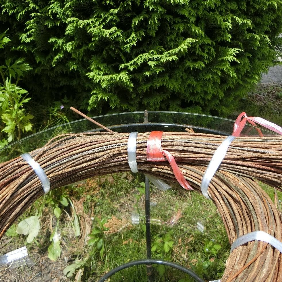 みっくん 青森県岩木山採取　あけび蔓　長 短 各1kg　合計2kg 練習用