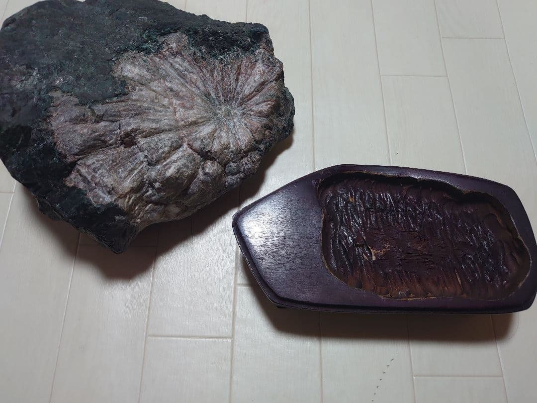 菊花石 根尾川 初鹿谷 サバ菊 10kg 希少品 激レア 観賞石 水石