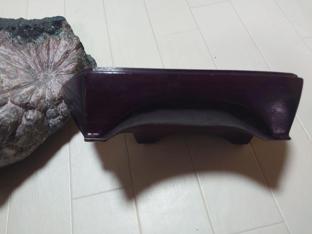 菊花石 根尾川 初鹿谷 サバ菊 10kg 希少品 激レア 観賞石 水石