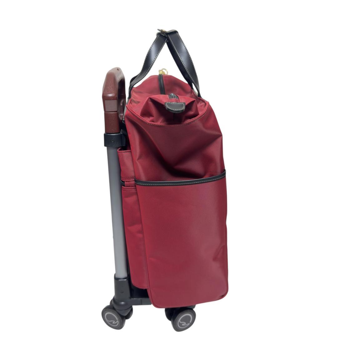 ACE ソエルテ アルディート 20L 43cm