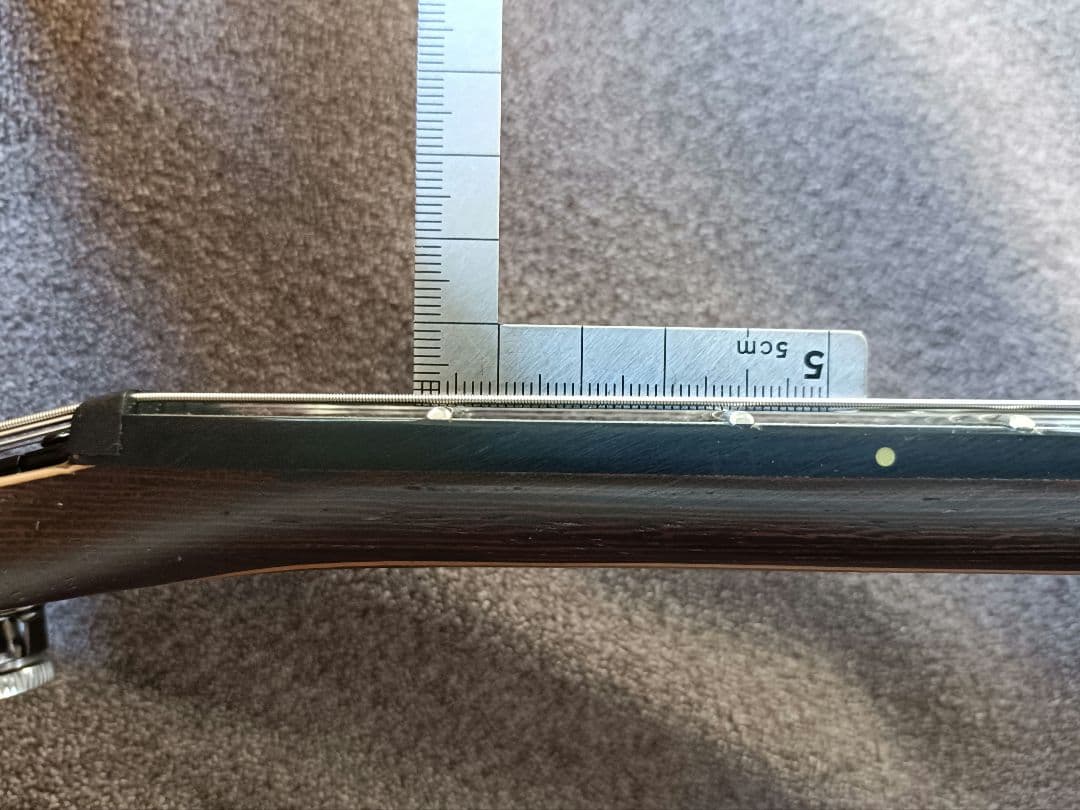 【美品】Ibanez Axion Label S61AL