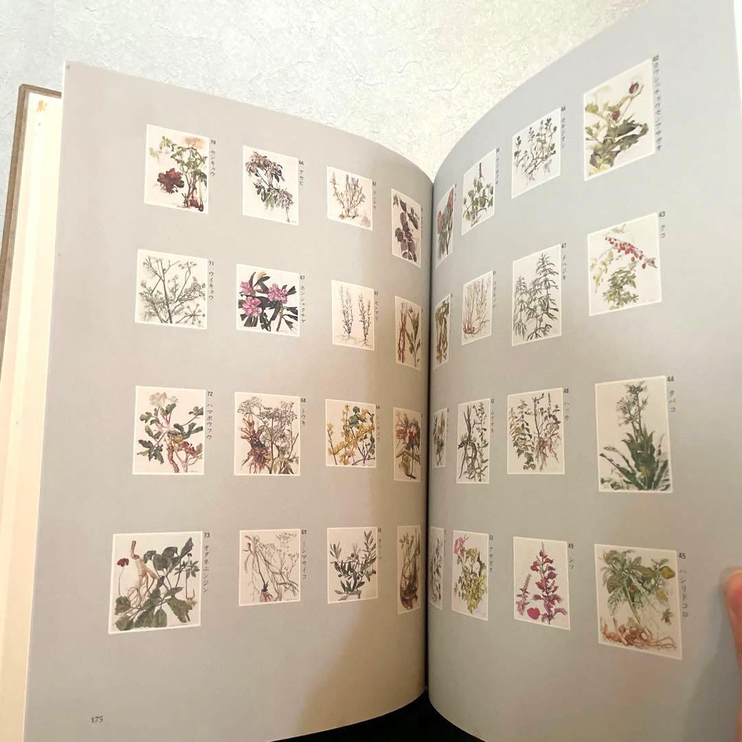 小磯良平　BOOK WORK ブックワーク　特装本　限定品