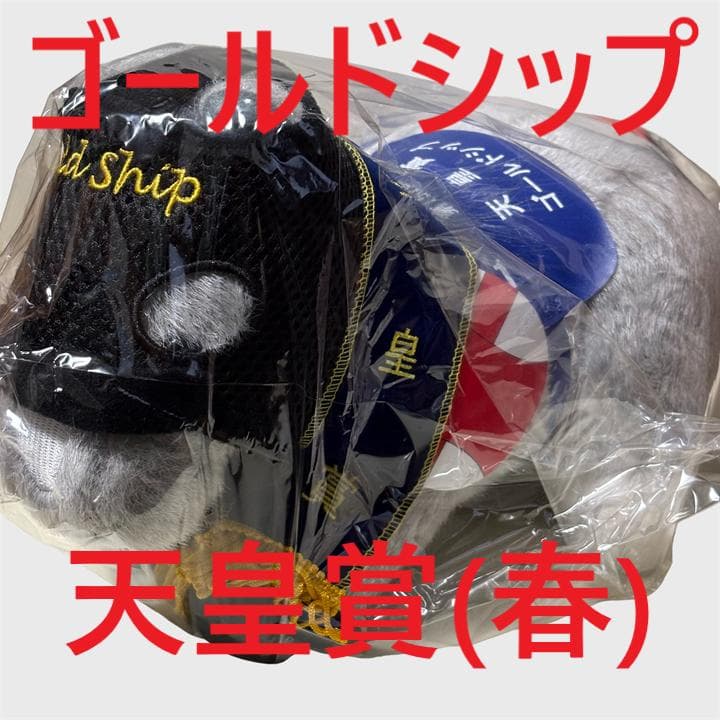 ゴールドシップ アイドルホース 競馬 ぬいぐるみ AVANTI ウマ娘 新品C⑨