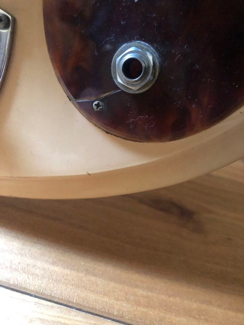 guyatone LG-50T ビザールギター